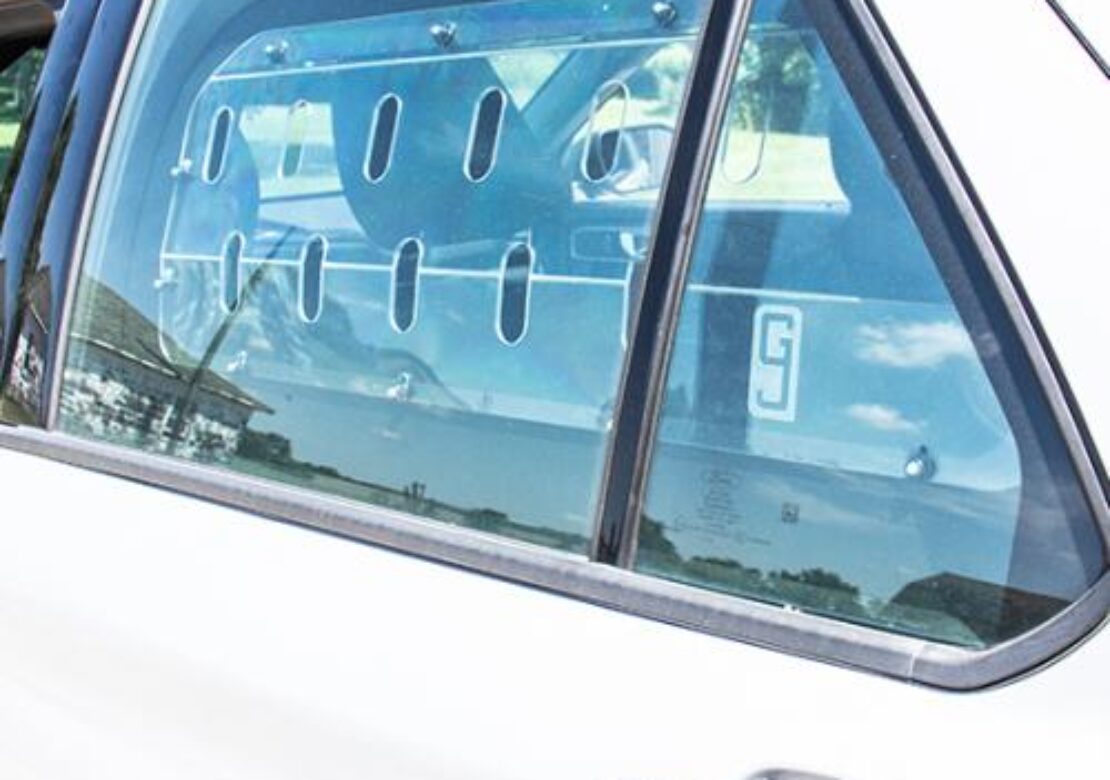 Window Guards